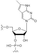 Unit Structure: Pyrrolo-cytidine